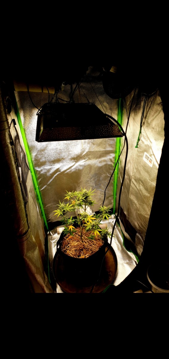 Screenshot_20220107-105452_Gallery