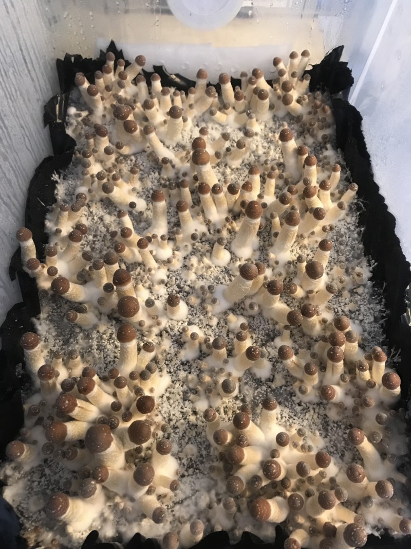 5DC4644D-EF01-496C-A6F4-A4CD84E089C7