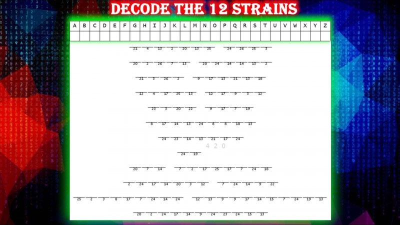 mn decode the 12 strains