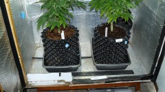 drobes 07 01 22 net day! 009