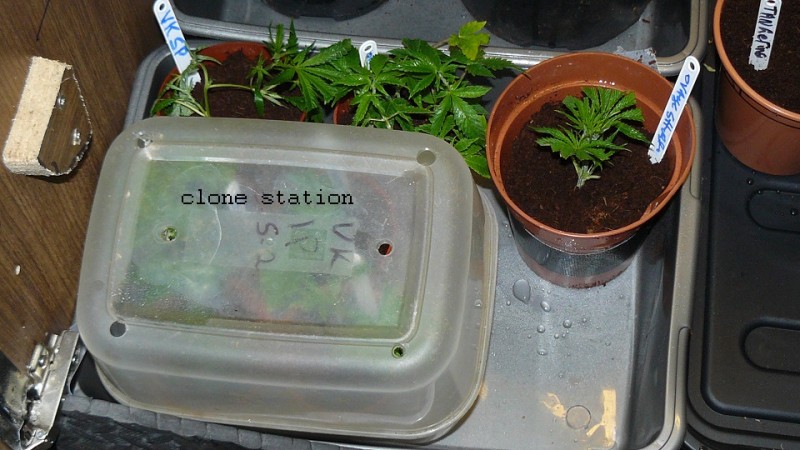 drobes 07 01 22 net day! 020