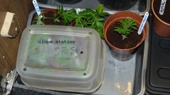 drobes 07 01 22 net day! 020