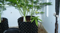 drobes 07 01 22 net day! 032