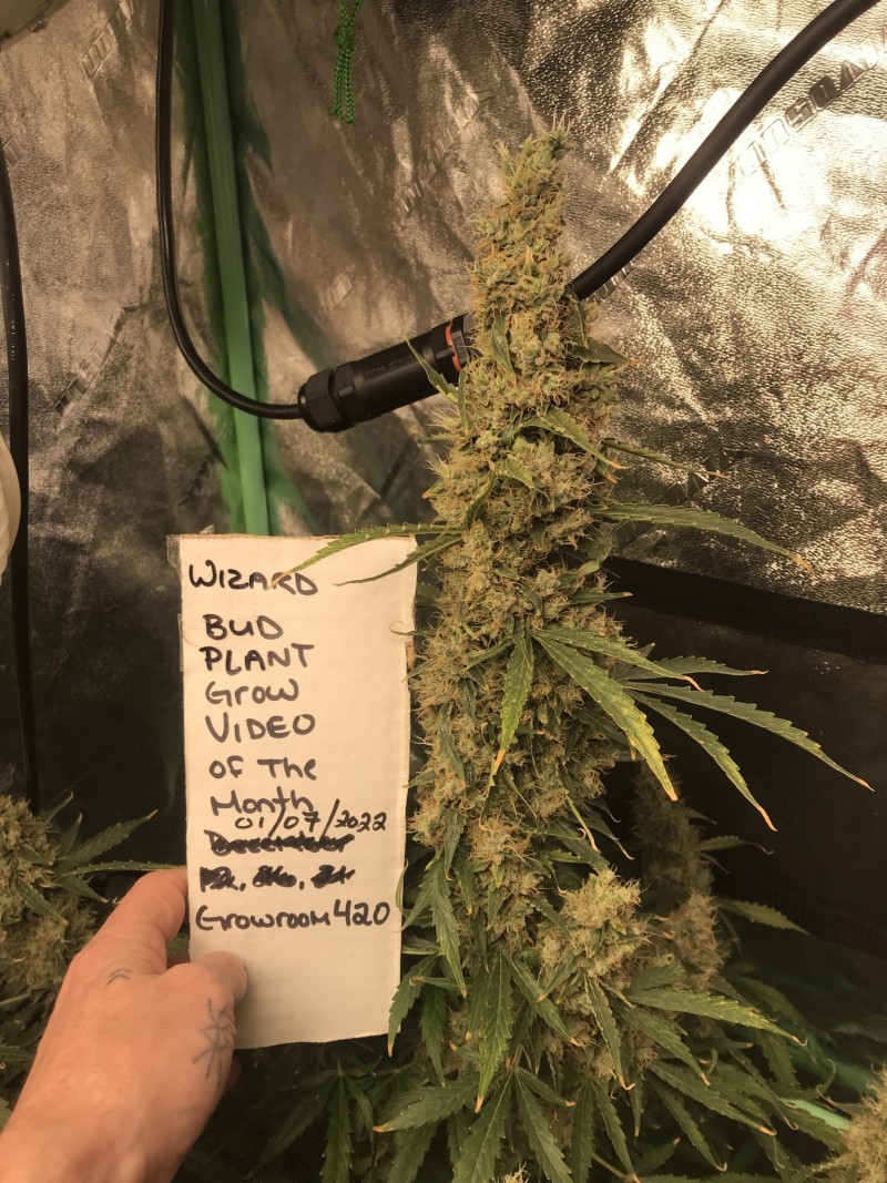 8CB09387-7DAF-44DD-8E70-5598DBF64334