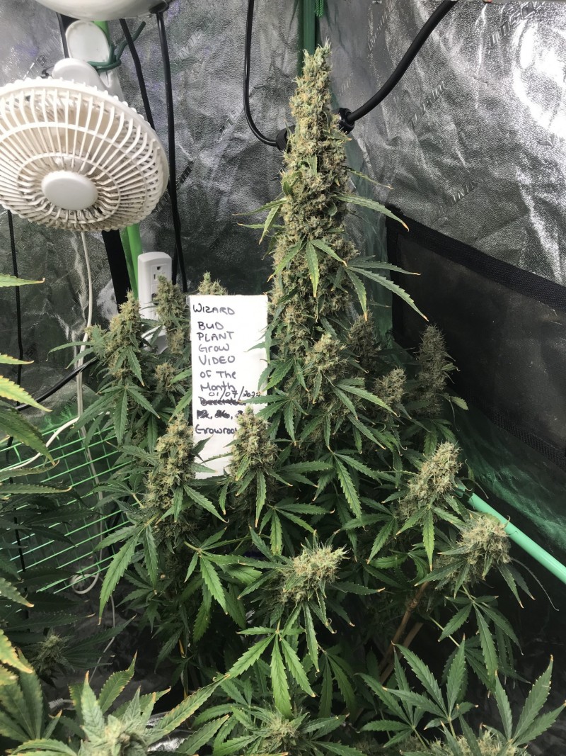 B8EEAA51-CE38-4B0A-9E2E-50FABCA3789D