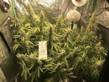 4788BE21-716B-46C5-9D7F-EE62D4D59CB6