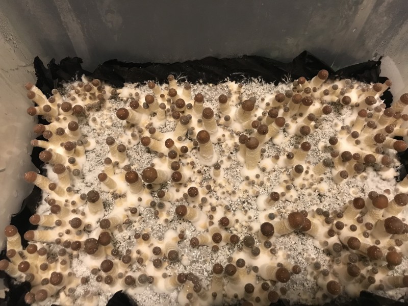 126AE59D-952F-43CC-972C-85E747FF5B86