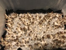 126AE59D-952F-43CC-972C-85E747FF5B86