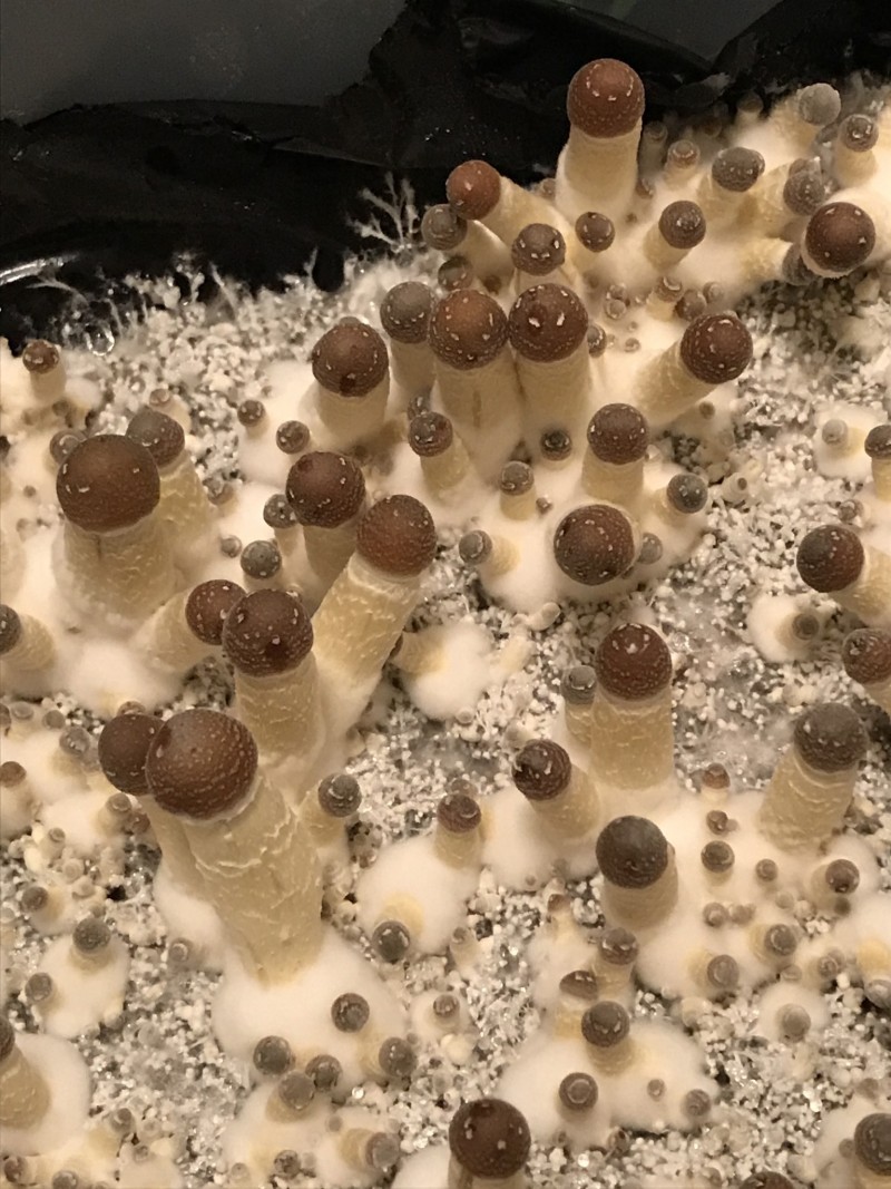 96DAC1BF-7F11-49D0-B436-D4F12771DE89