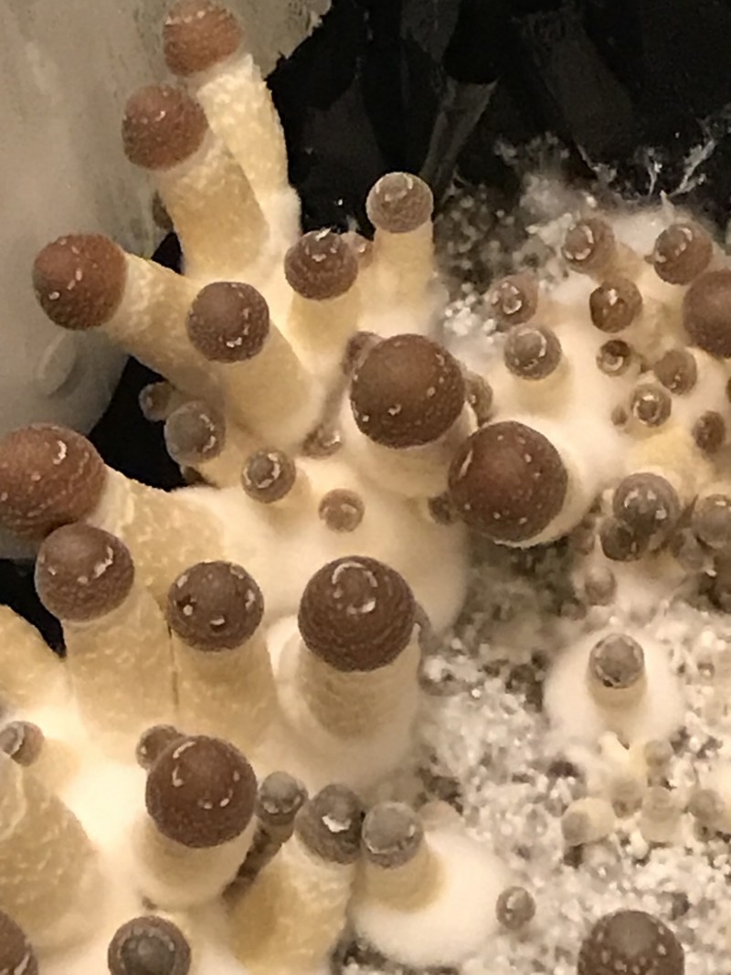 E81A7324-2E28-49FA-B7E9-82086CBCD3B5