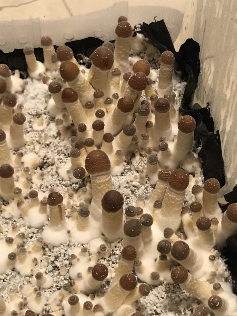 1030B0E1-1E4C-4349-98F6-EC4B12FDCD70