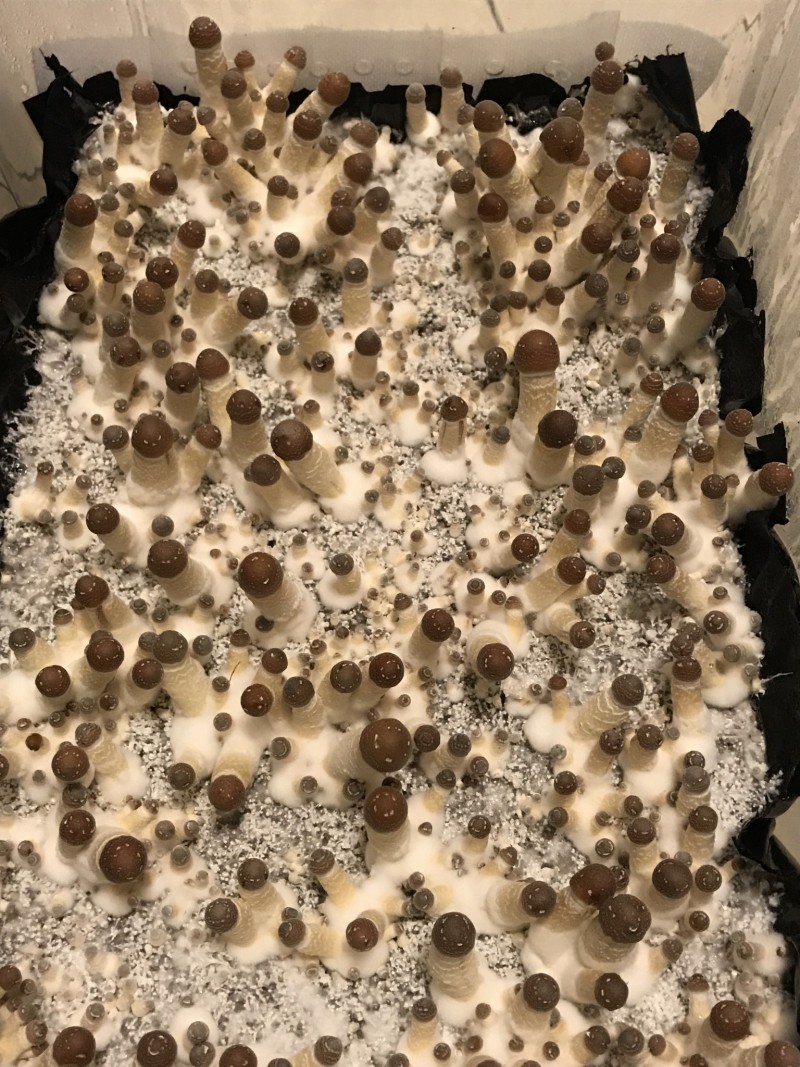 86404602-21E2-48B3-A0AB-723A2B524D38