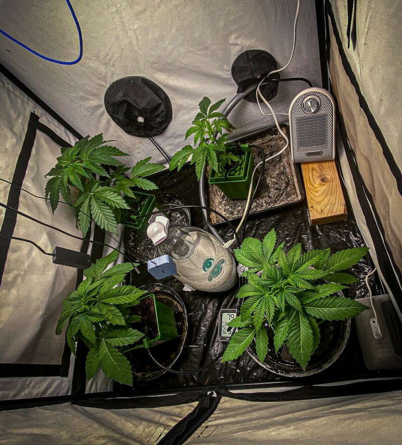 F1B4CFA7-CA67-4DC3-BF30-3D621382FA76