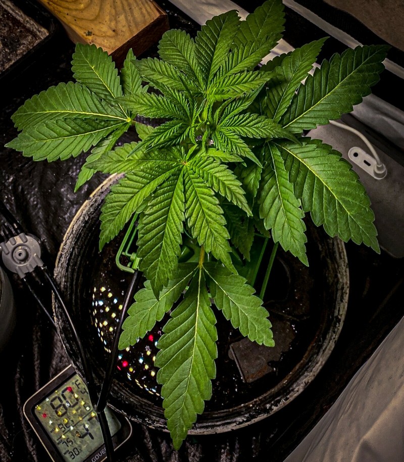 4748D0EB-F12F-451E-869B-08D883FF83D0