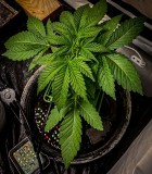 4748D0EB-F12F-451E-869B-08D883FF83D0