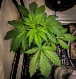 871063DE-76C1-4C7A-9BA5-7F362C32AC75