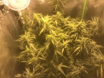 F90C9867-C1DF-4EAC-9DFA-DCF447B60CAD