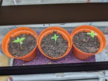 PXL_20220108_192030416