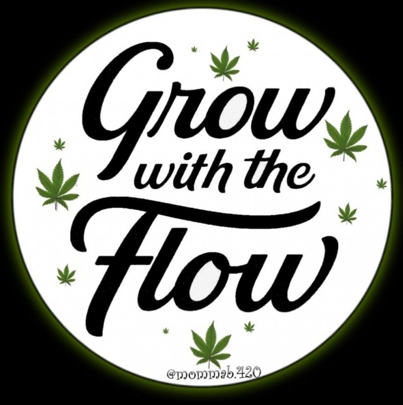 Screenshot_20220110-115620_Instagram