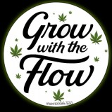 Screenshot_20220110-115620_Instagram