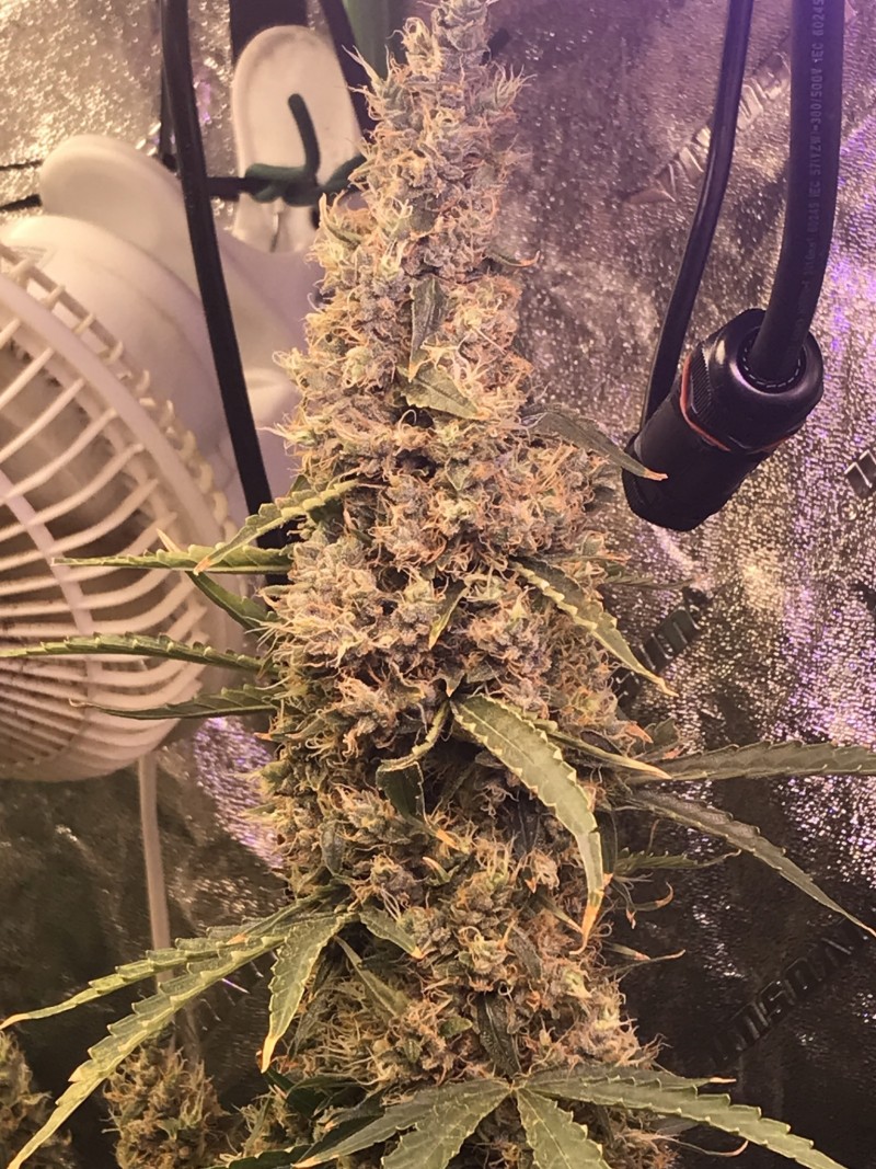 657ED9D2-84EF-495F-9E92-1D1CDDBCB318