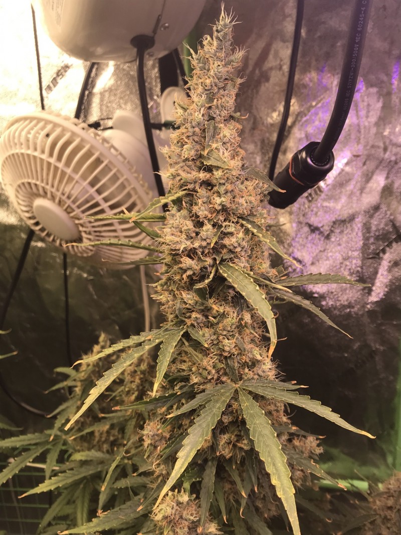 C3F0E80E-CA2A-4760-B380-307B17A26021