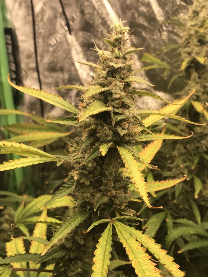 7E743AAC-A601-40E4-AA7C-0802D13E5E66