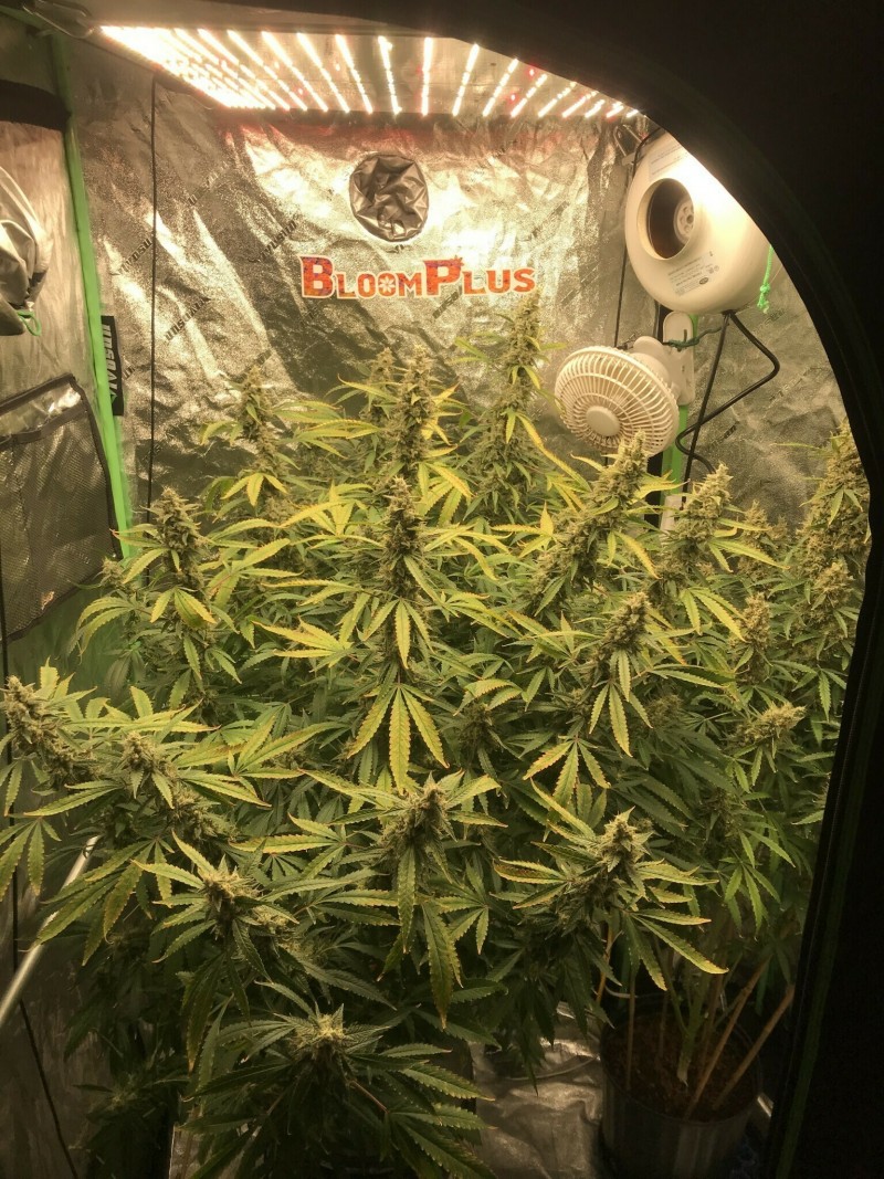 0A3F5311-D67F-4A26-9F8B-3BF9B3F913E0