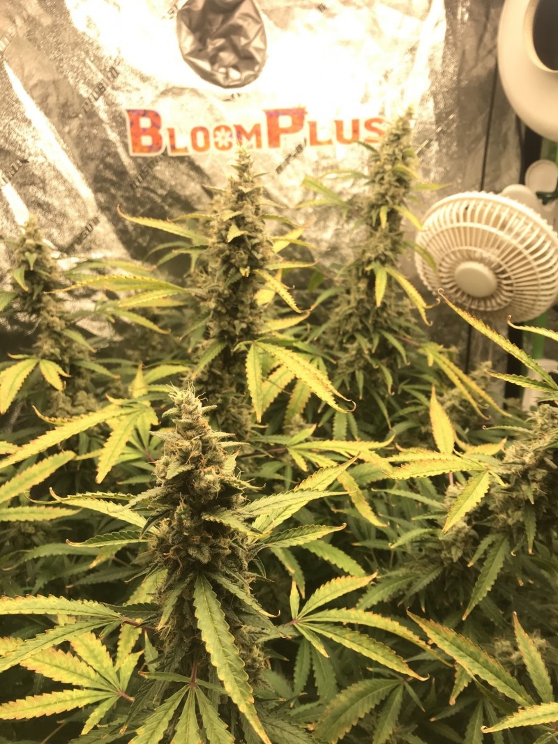 798FE605-292C-4EF4-9307-068552B2FB18