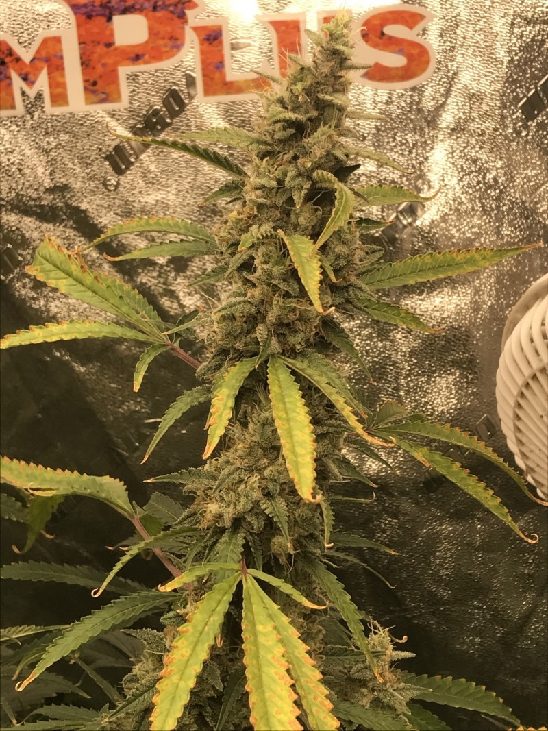 273FA10C-BC42-4E75-97B3-56E11C57F9FE