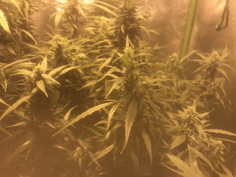 BA5948DB-C4D4-48A0-B26A-9621B1B70AEE