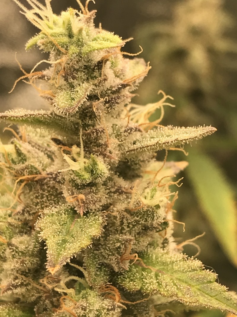 650C2BCA-DA13-4147-974C-A70B77F20B06