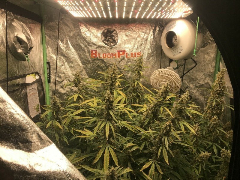 7BB44405-4CC5-4CBB-B6D2-D86268292D7E