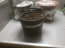 7563EED2-7AA8-415A-A32C-CB42DF5AA27A