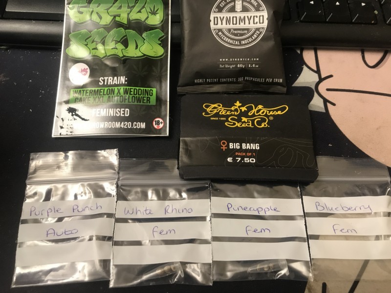 B239DBFA-D553-408E-B2B1-B9826018587A