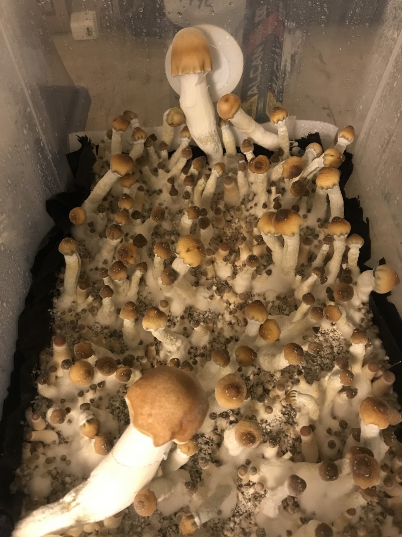 78E4EF78-04B3-446C-8CE5-5DDC5FABB7DC