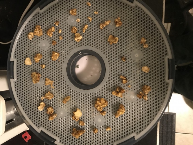 8CCFB392-4569-4721-AD1D-6ACF32581131