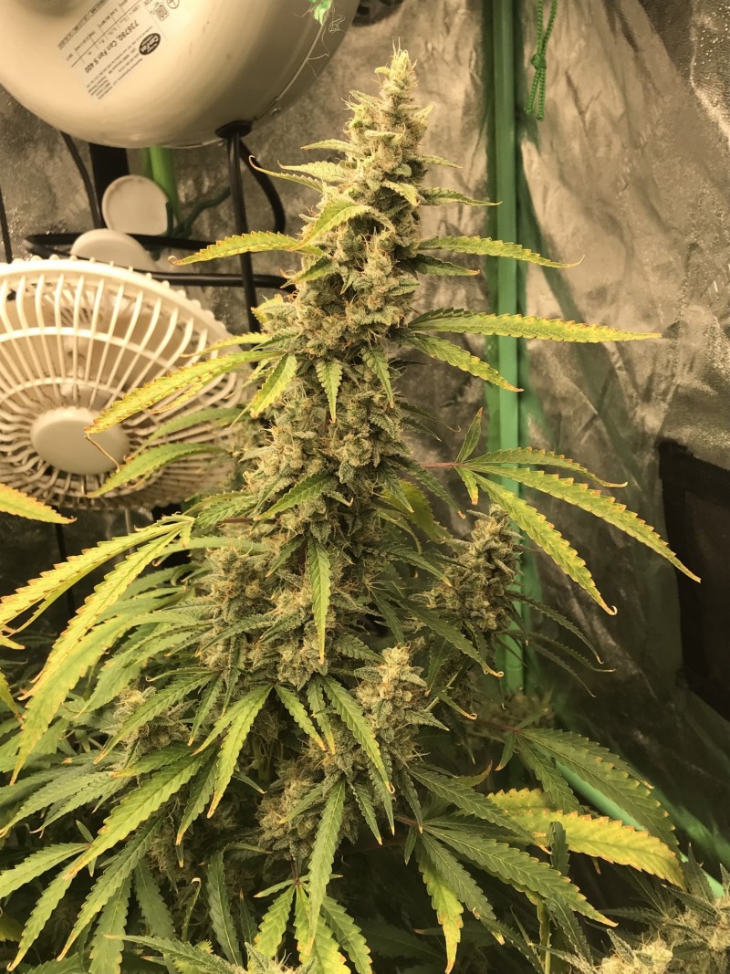 3F3FE544-8FF7-415F-B1A2-B7277979FFFD