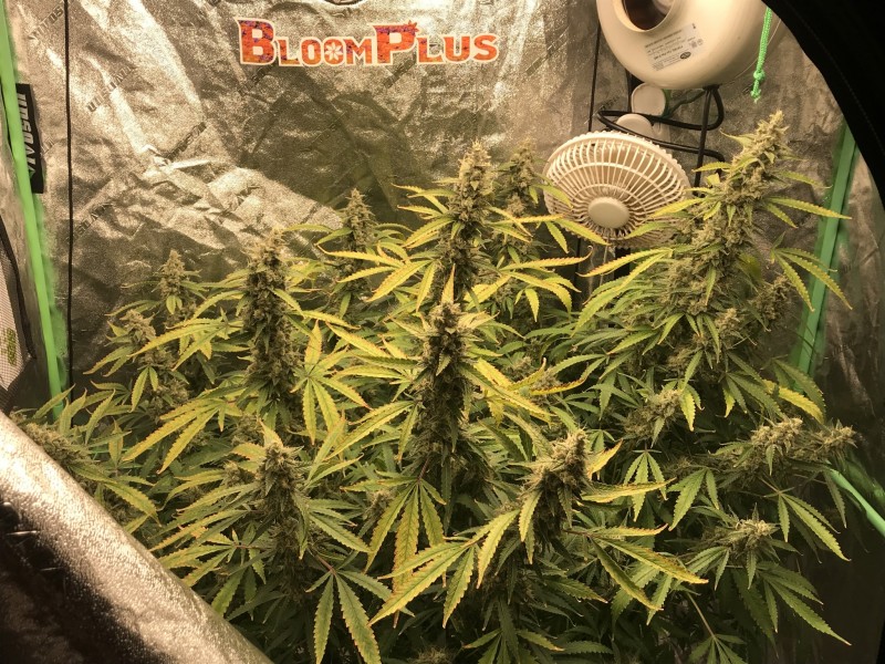 6DF7B082-3423-4493-A862-CF6A08C19640