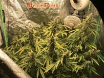 6DF7B082-3423-4493-A862-CF6A08C19640