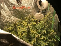 42E70639-7035-4F01-BD8A-E9B574E96EFB