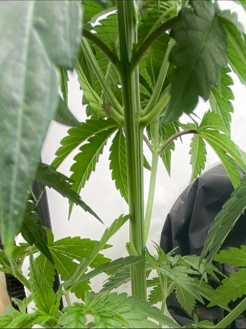 58F56EDF-9DBB-431D-A9D6-E0750D225E83