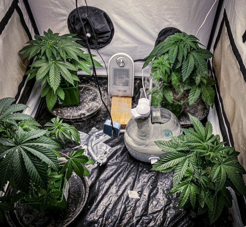 F883B823-E5DA-4DEB-93B0-3688F5A62CE6