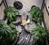 F883B823-E5DA-4DEB-93B0-3688F5A62CE6