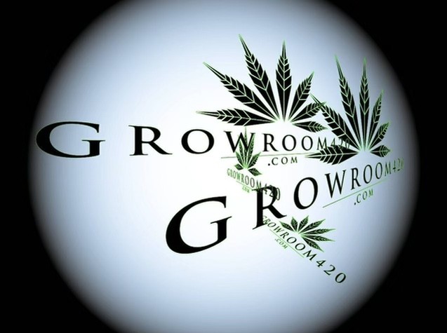 63CA1FAC-46B6-4876-BB0A-5A6C77C39F7D