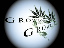 63CA1FAC-46B6-4876-BB0A-5A6C77C39F7D