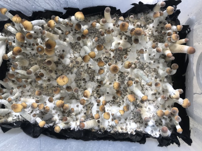 0E90A4F5-8246-4C65-8546-D9DDD43CB977