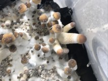 3DBF8A5E-6D78-494F-9114-C725D6089A3C