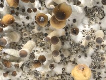 B66E1E8A-3C98-4147-9703-7EDBA3EDA05B