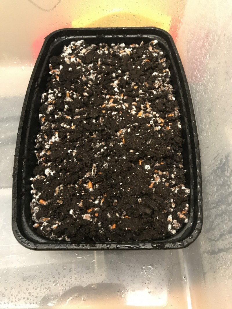 754167B8-1B32-4649-BE66-C44F8AC3BA19